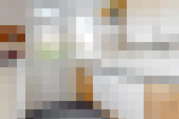 Lodewijk van Deyssellaan 65 Driehuis NH thumbnail 12