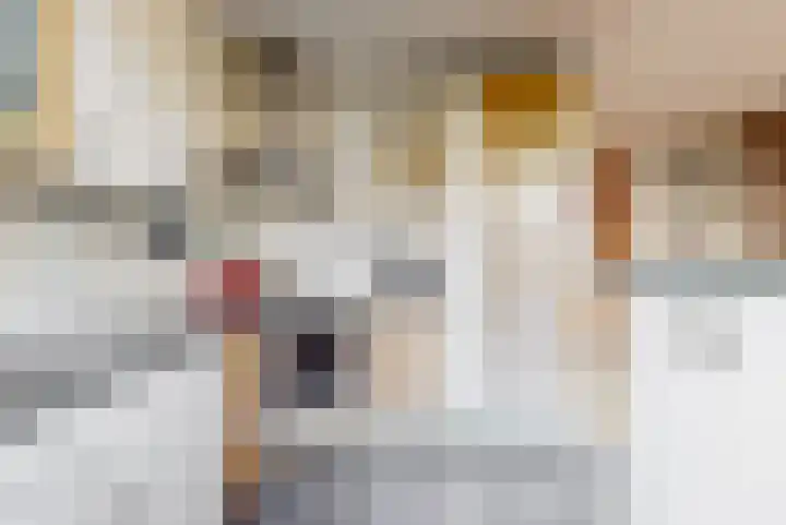 Lodewijk van Deyssellaan 65 Driehuis NH thumbnail 13