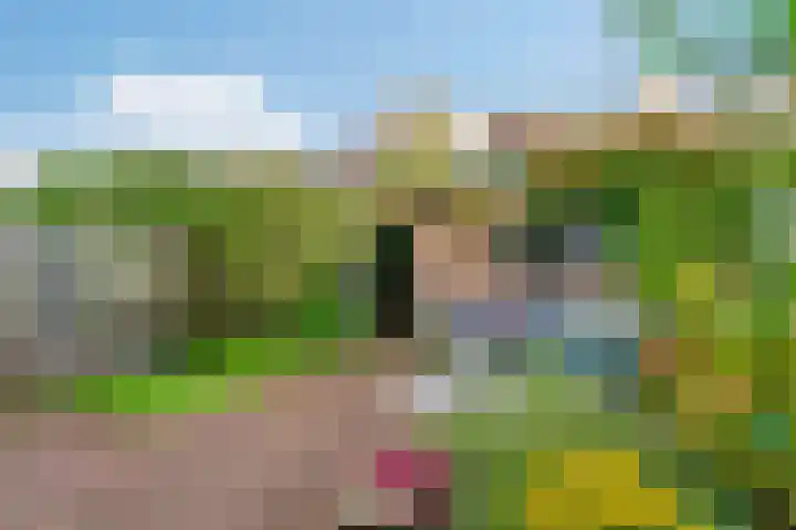 Lodewijk van Deyssellaan 65 Driehuis NH thumbnail 15