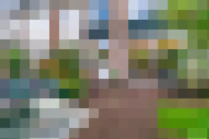 Lodewijk van Deyssellaan 65 Driehuis NH thumbnail 16
