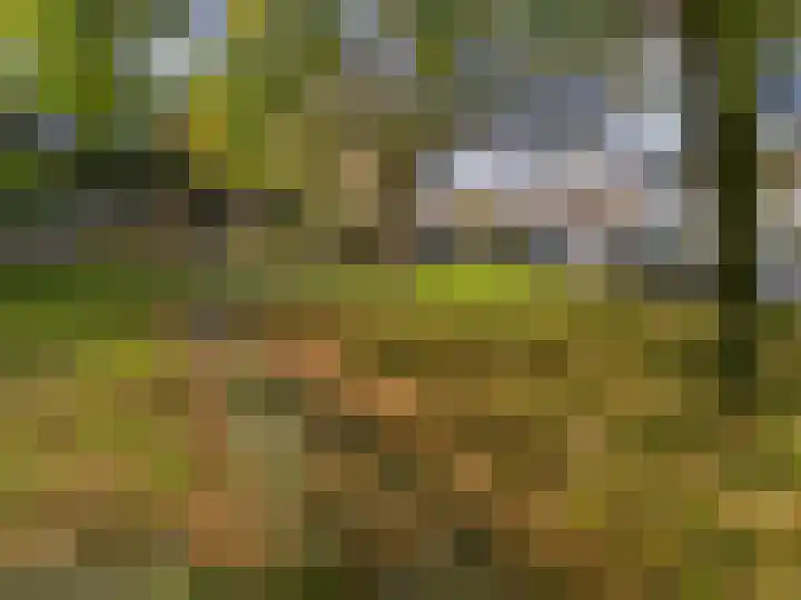 Lodewijk van Deyssellaan 65 Driehuis NH thumbnail 35