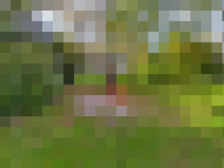 Lodewijk van Deyssellaan 65 Driehuis NH thumbnail 36