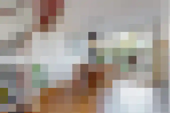 Lodewijk van Deyssellaan 65 Driehuis NH thumbnail 6