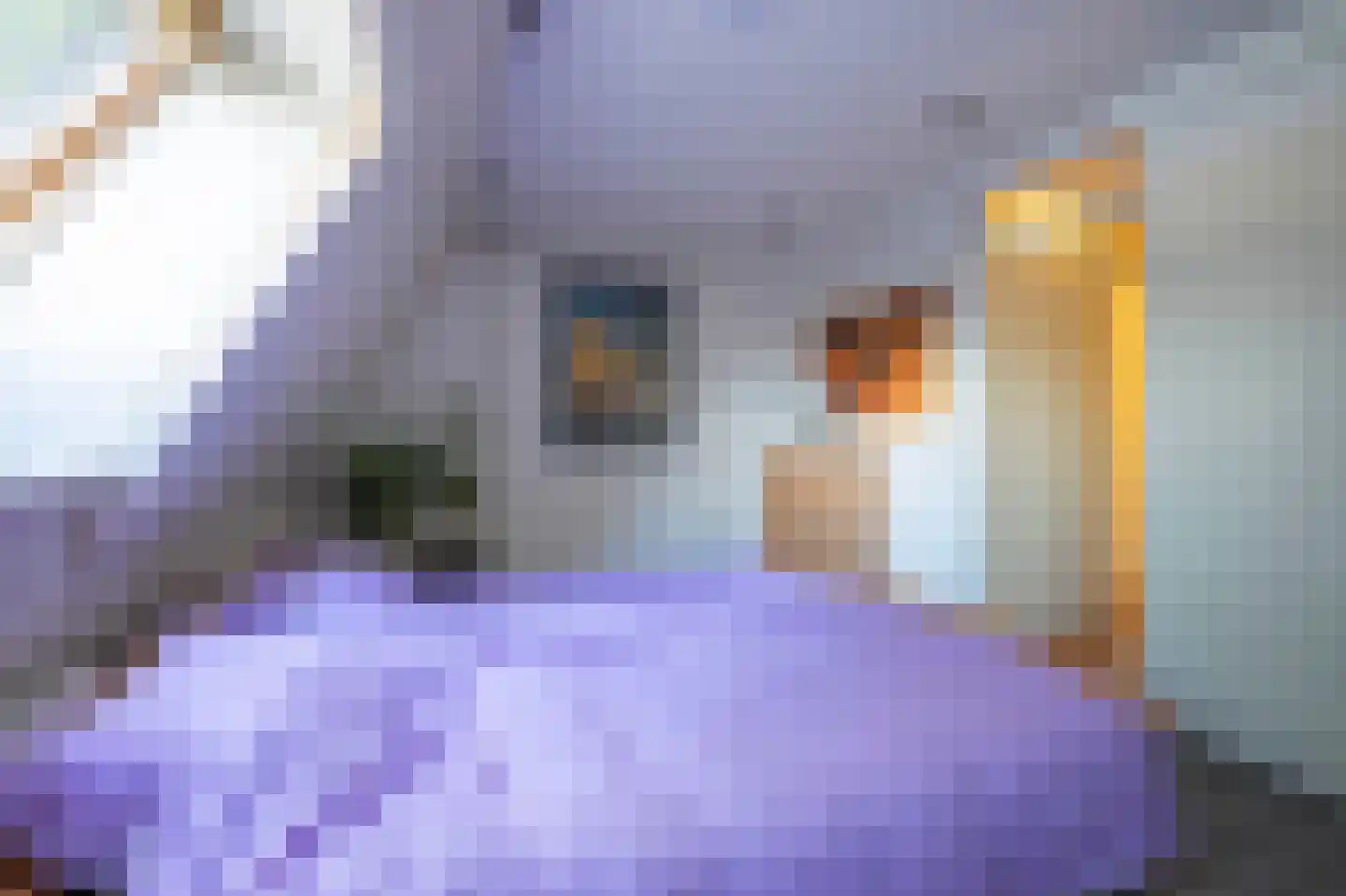 Lodewijk van Deysselstraat 20 Kerkrade thumbnail 12