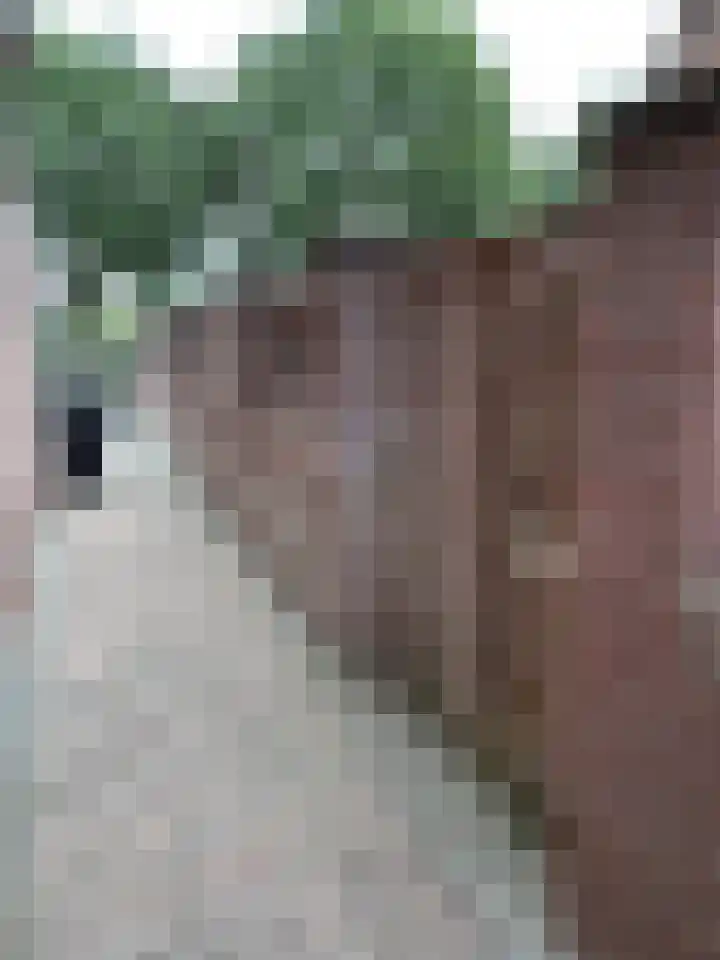 Lodewijk van Deysselstraat 47 Kerkrade thumbnail 10