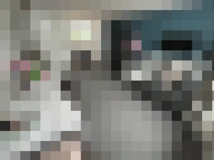 Lodewijk van Deysselstraat 47 Kerkrade thumbnail 16