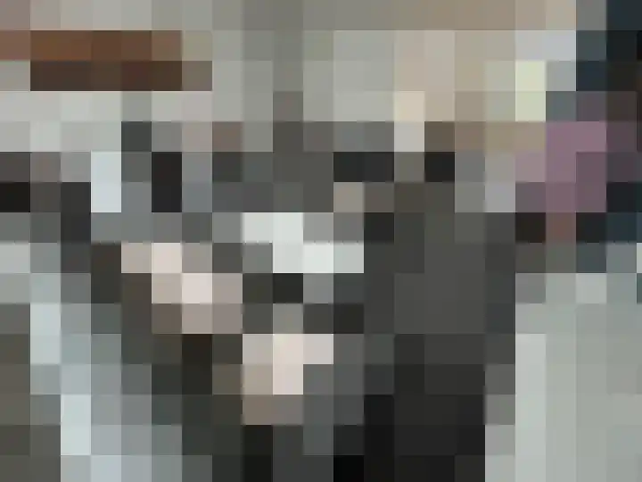 Lodewijk van Deysselstraat 47 Kerkrade thumbnail 17
