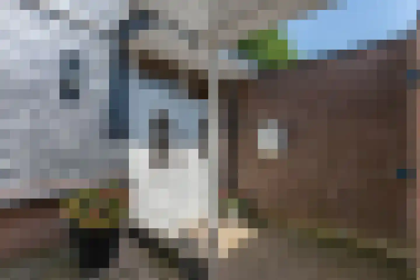Lodewijk van Deysselstraat 55 Kerkrade thumbnail 4