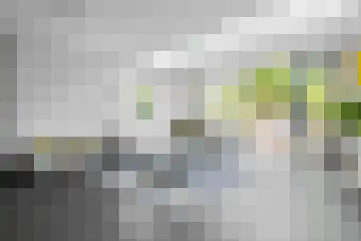 Lodewijk van Hamelstraat 14 Leidschendam thumbnail 15