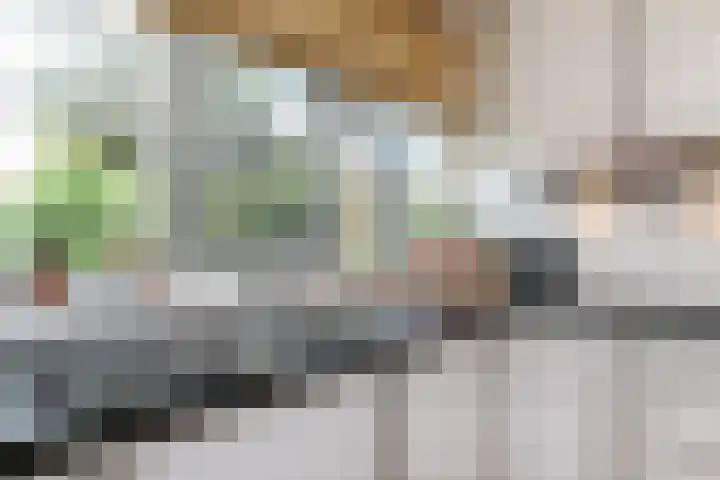 Lodewijk van Hamelstraat 3 Leidschendam thumbnail 16