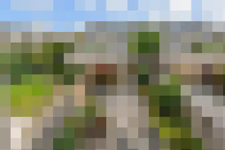 Lodewijk van Hamelstraat 3 Leidschendam thumbnail 25