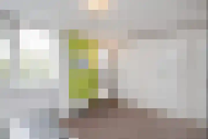 Lodewijk van Hamelstraat 3 Leidschendam thumbnail 31