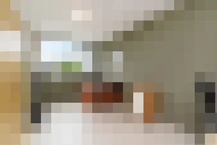 Lodewijk van Hamelstraat 3 Leidschendam thumbnail 34