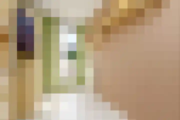 Lodewijk van Hamelstraat 3 Leidschendam thumbnail 35
