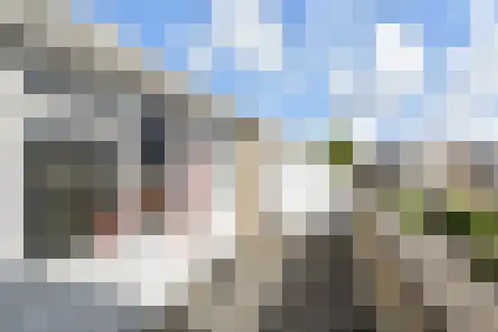 Lodewijk van Hamelstraat 3 Leidschendam thumbnail 37