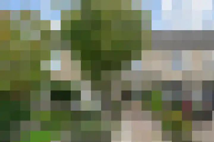 Lodewijk van Hamelstraat 3 Leidschendam thumbnail 7