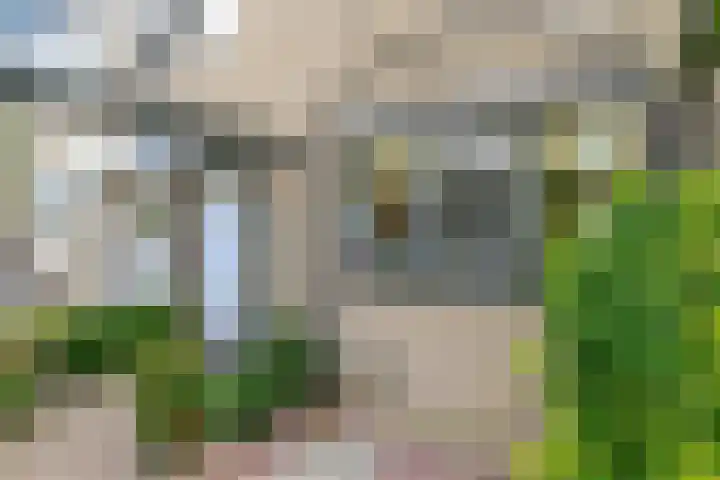Lodewijk van Hamelstraat 3 Leidschendam thumbnail 8