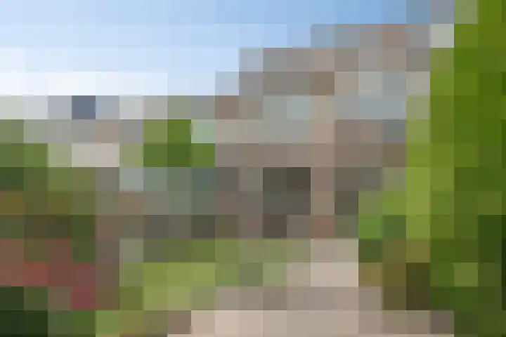Lodewijk van Nassaustraat 13 Leerdam thumbnail 48