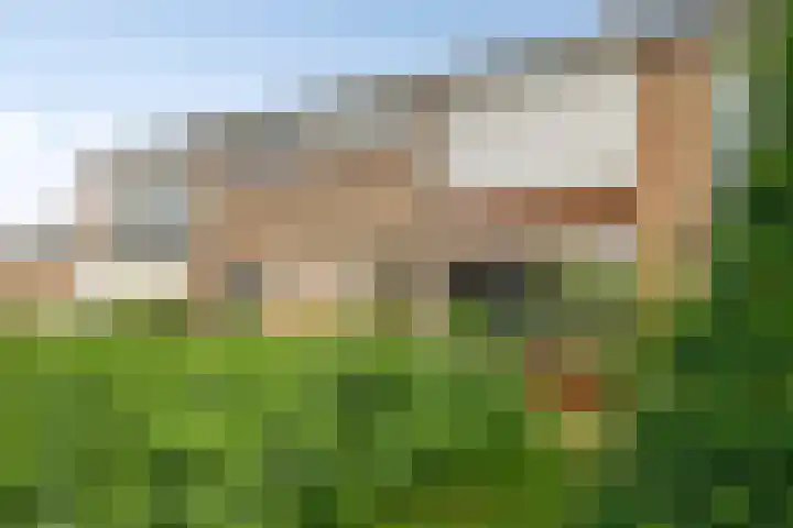 Lodewijk van Nassaustraat 13 Leerdam thumbnail 5