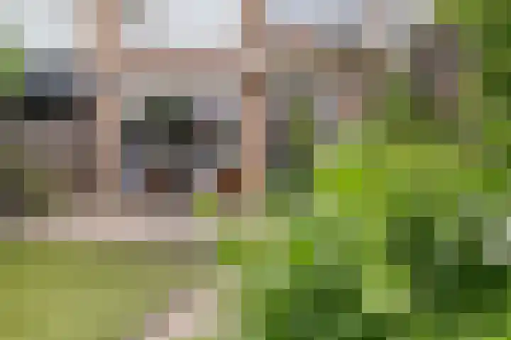 Lodewijk van Nassaustraat 13 Leerdam thumbnail 50