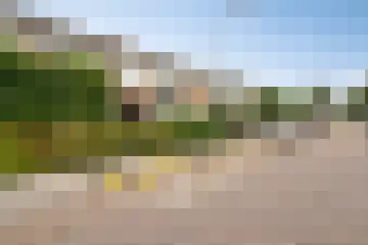 Lodewijk van Nassaustraat 13 Leerdam thumbnail 6