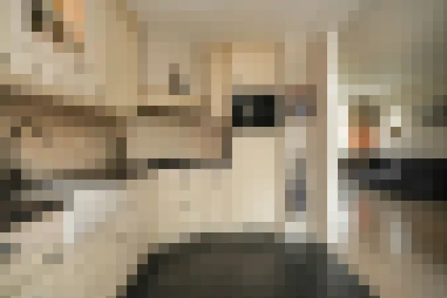 Lodewijk van Nassaustraat 15 Leerdam thumbnail 12