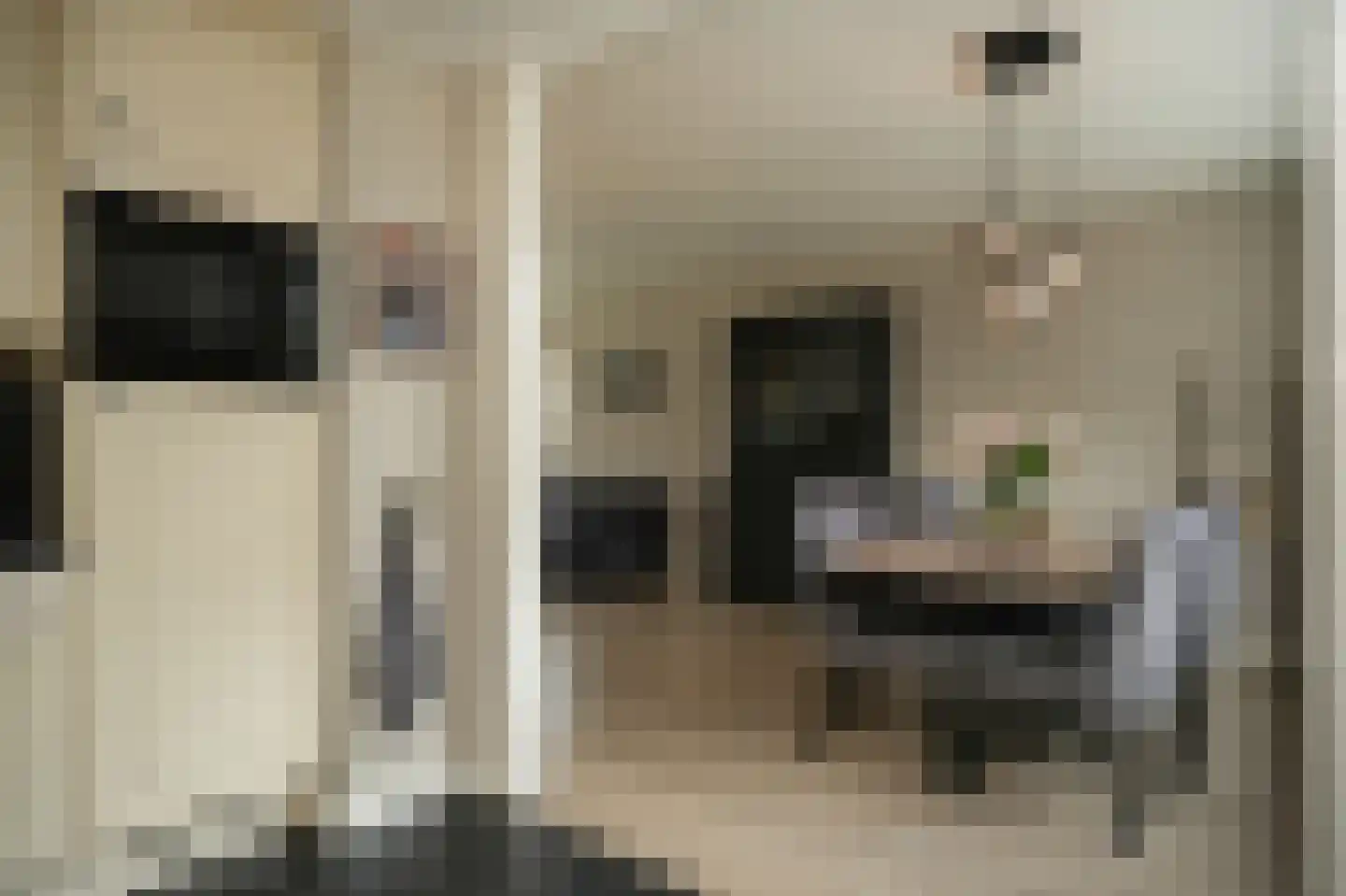 Lodewijk van Nassaustraat 15 Leerdam thumbnail 14