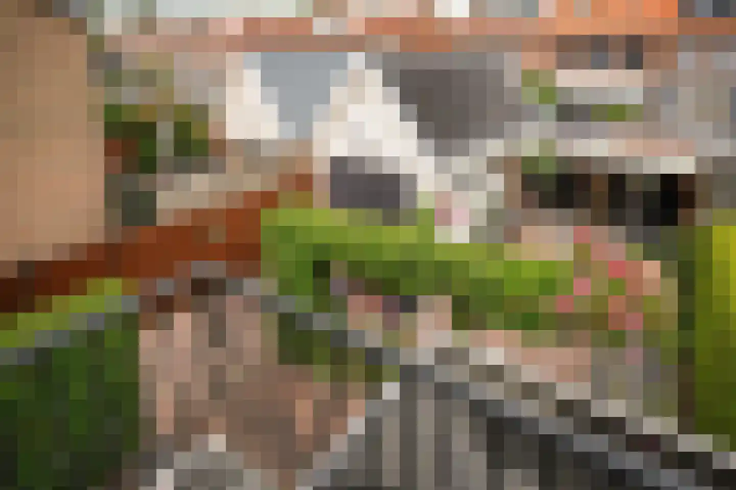 Lodewijk van Nassaustraat 15 Leerdam thumbnail 22