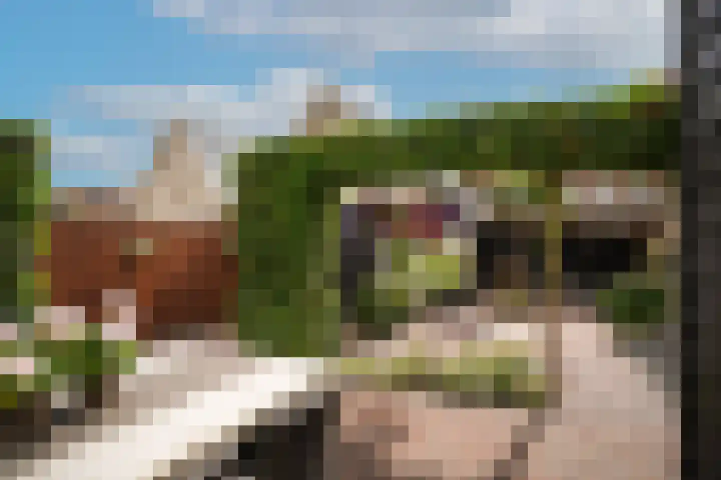 Lodewijk van Nassaustraat 15 Leerdam thumbnail 29