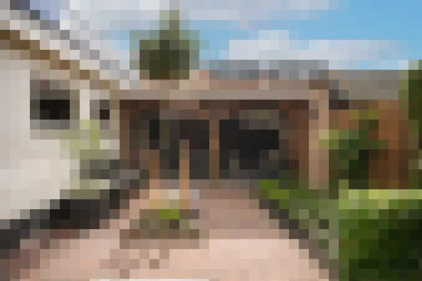 Lodewijk van Nassaustraat 15 Leerdam thumbnail 30