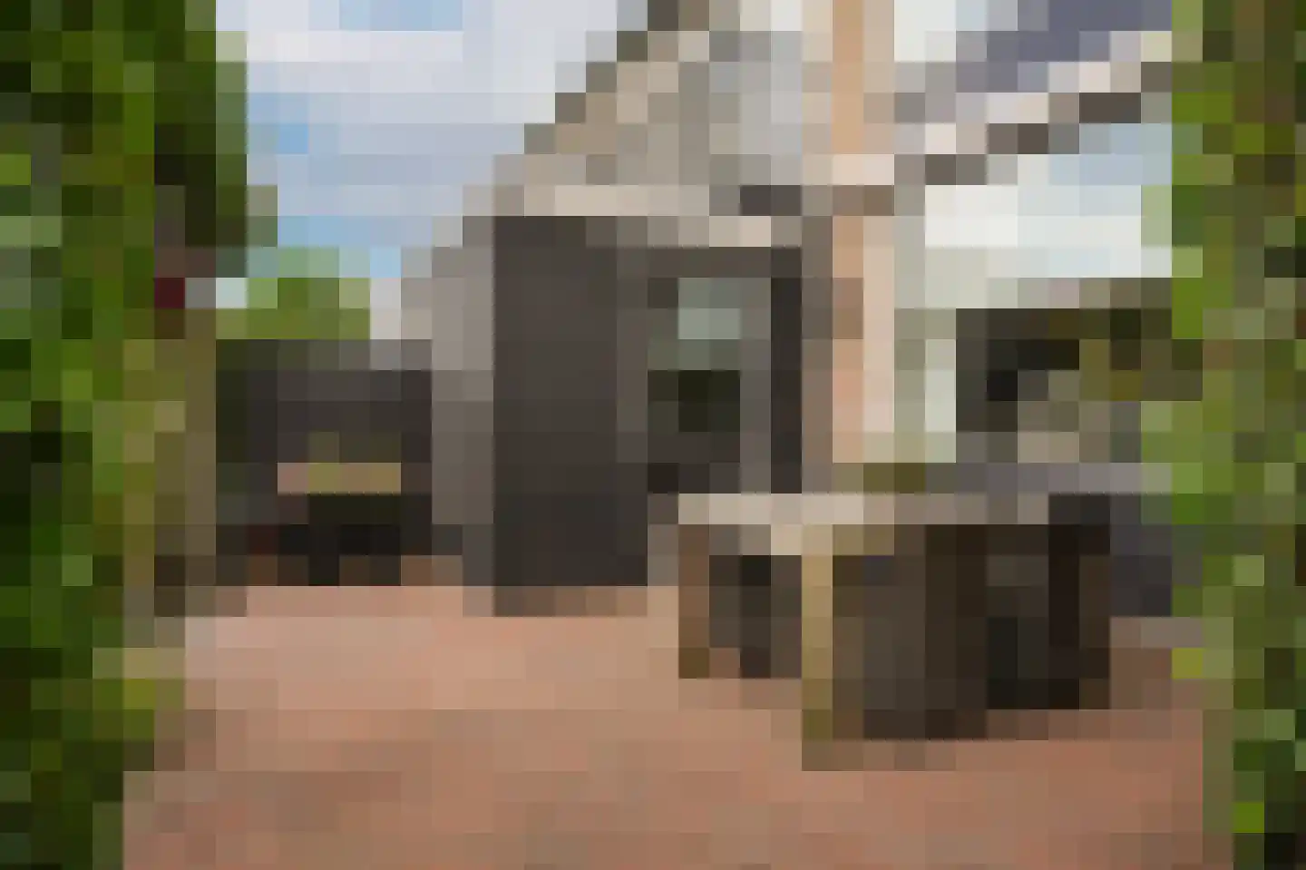 Lodewijk van Nassaustraat 15 Leerdam thumbnail 34