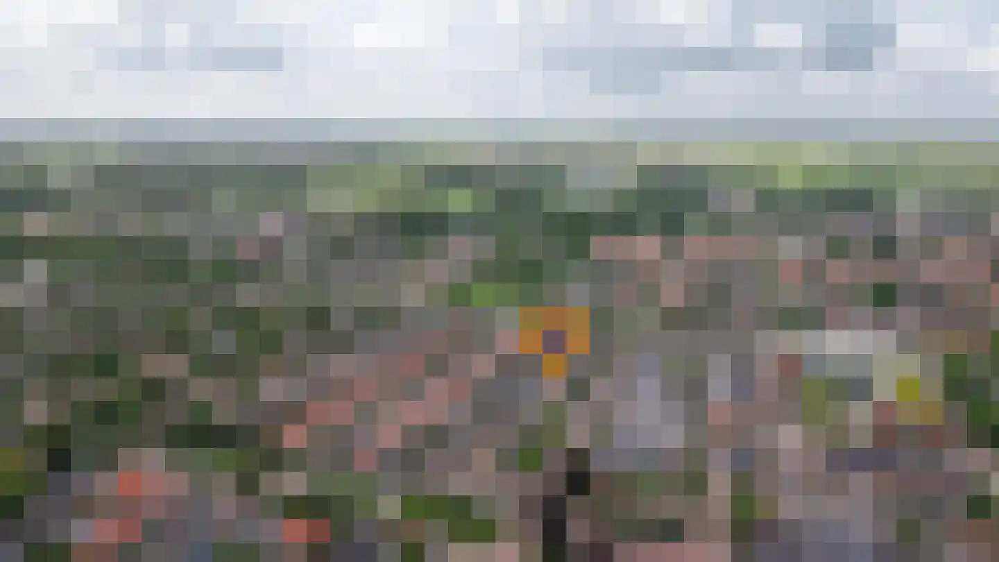 Lodewijk van Nassaustraat 15 Leerdam thumbnail 39