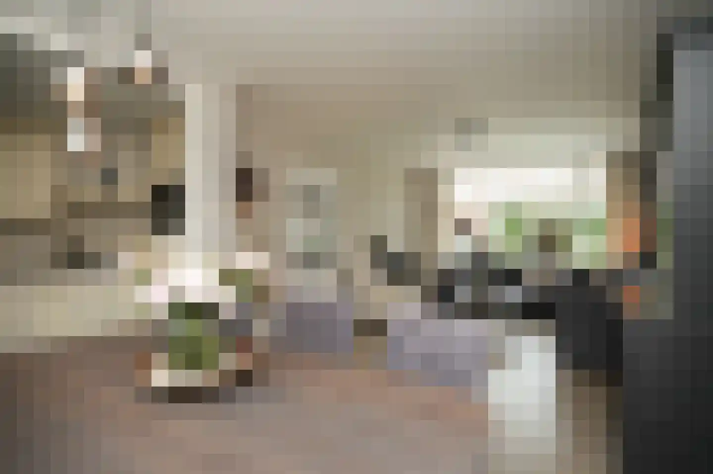 Lodewijk van Nassaustraat 15 Leerdam thumbnail 4