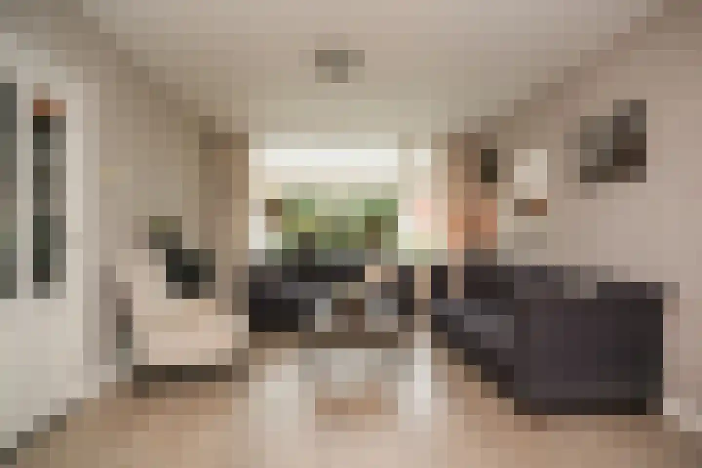 Lodewijk van Nassaustraat 15 Leerdam thumbnail 8