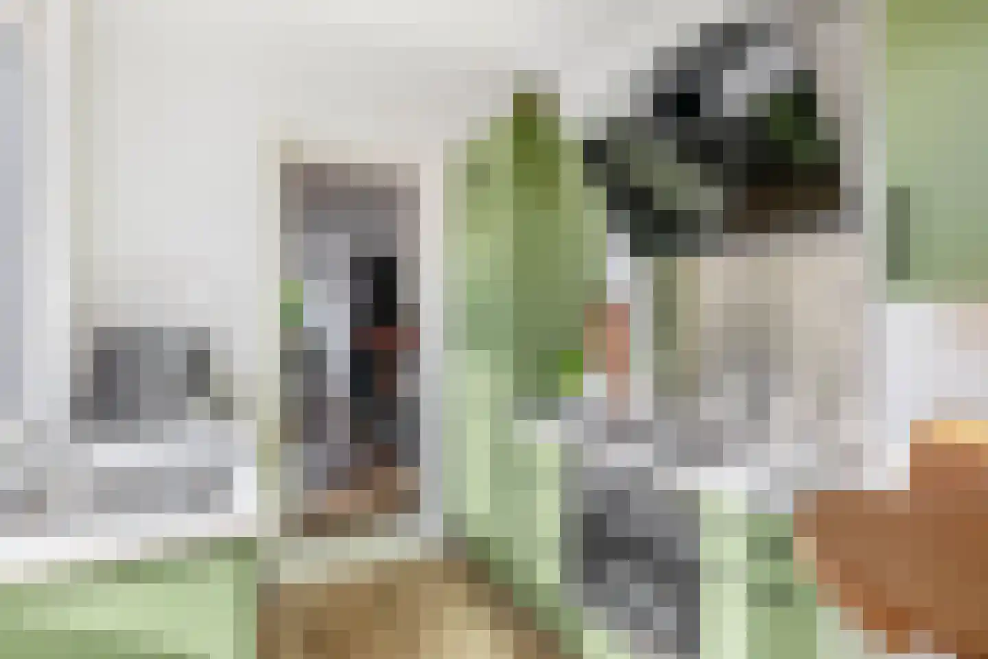 Lodewijk van Nassaustraat 17 Zwijndrecht thumbnail 16
