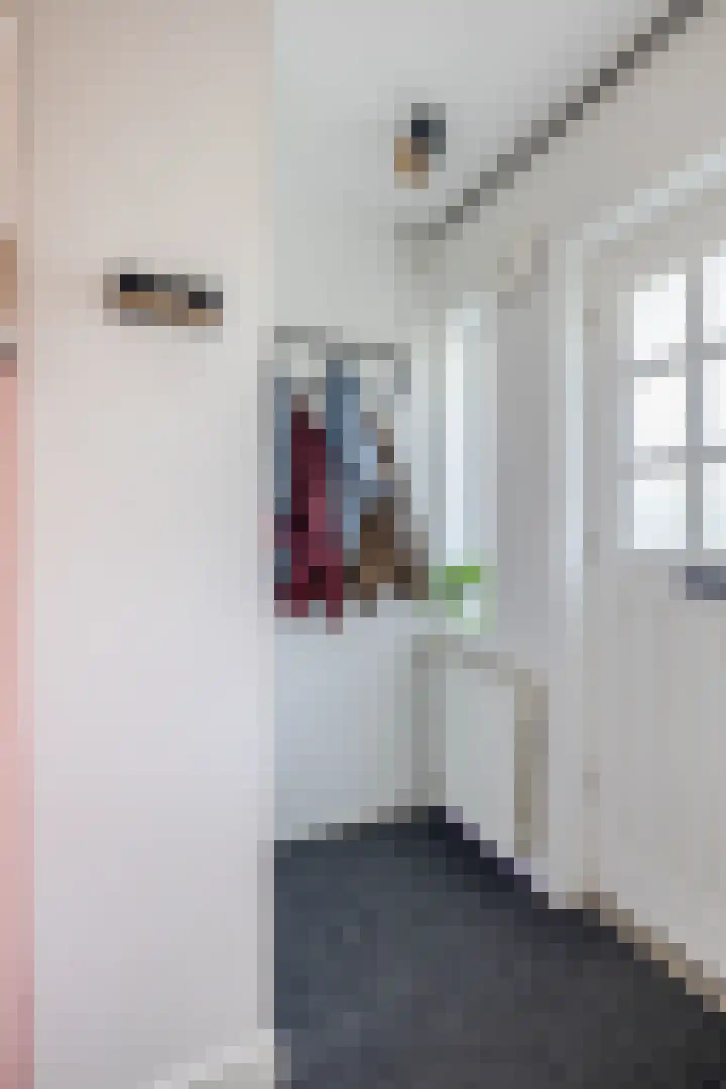 Lodewijk van Nassaustraat 17 Zwijndrecht thumbnail 35