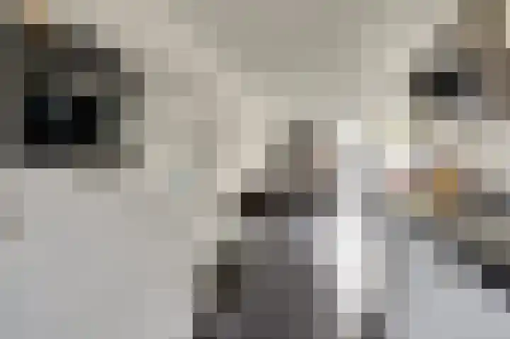 Lodewijk van Nassaustraat 20 Venlo thumbnail 8