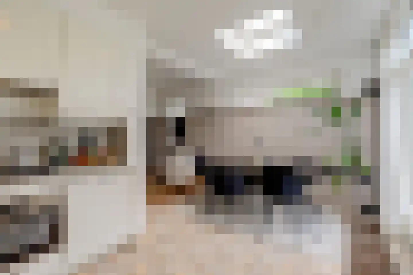 Lodewijk van Nassaustraat 23 Zwijndrecht thumbnail 17