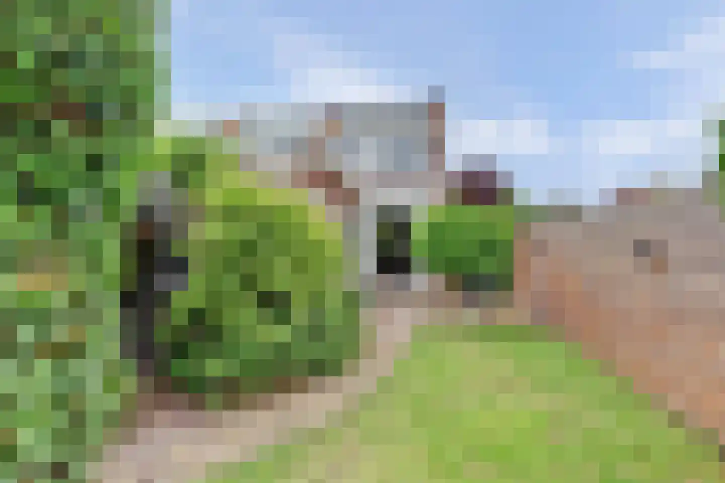 Lodewijk van Nassaustraat 23 Zwijndrecht thumbnail 39