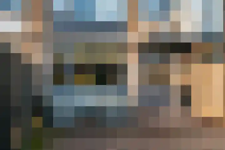 Lodewijk van Nassaustraat 29 Leerdam thumbnail 23