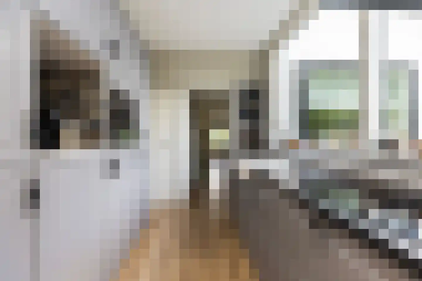 Lodewijk van Nassaustraat 3 Zwijndrecht thumbnail 10