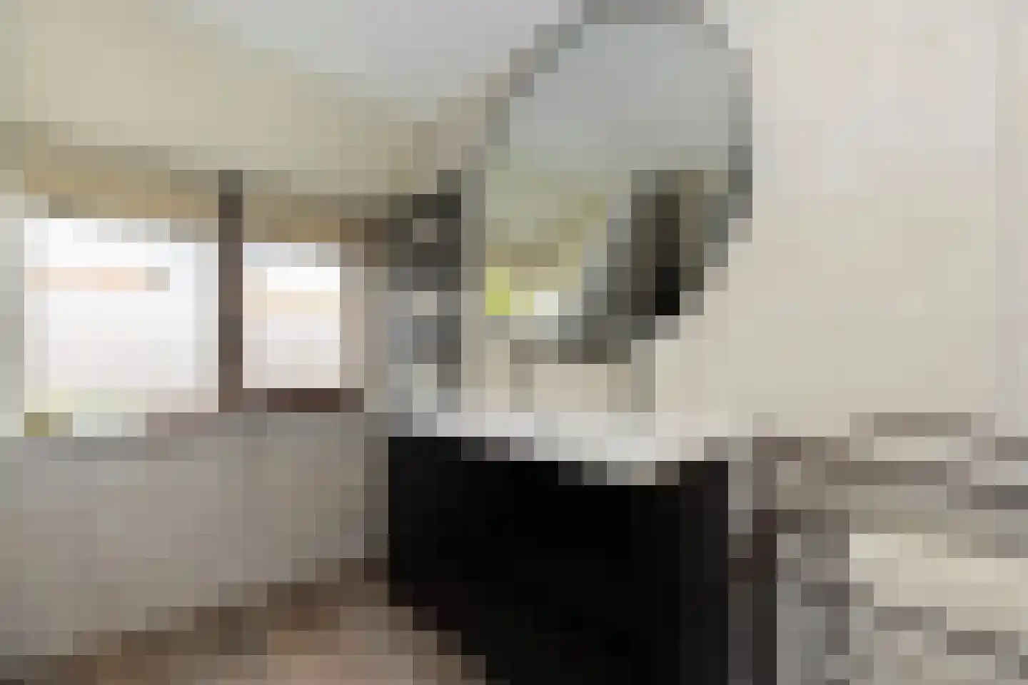 Lodewijk van Nassaustraat 3 Zwijndrecht thumbnail 15