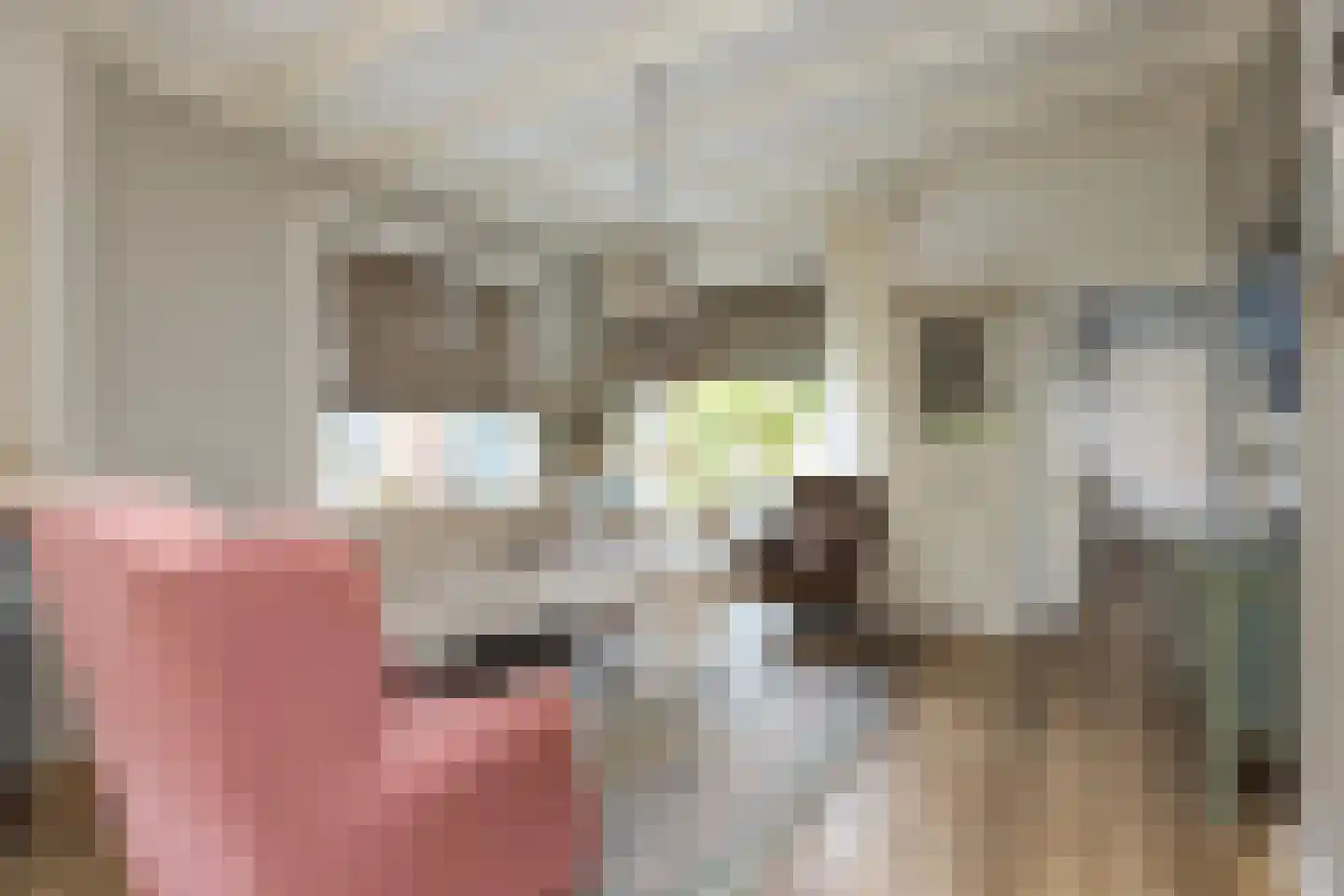 Lodewijk van Nassaustraat 3 Zwijndrecht thumbnail 4