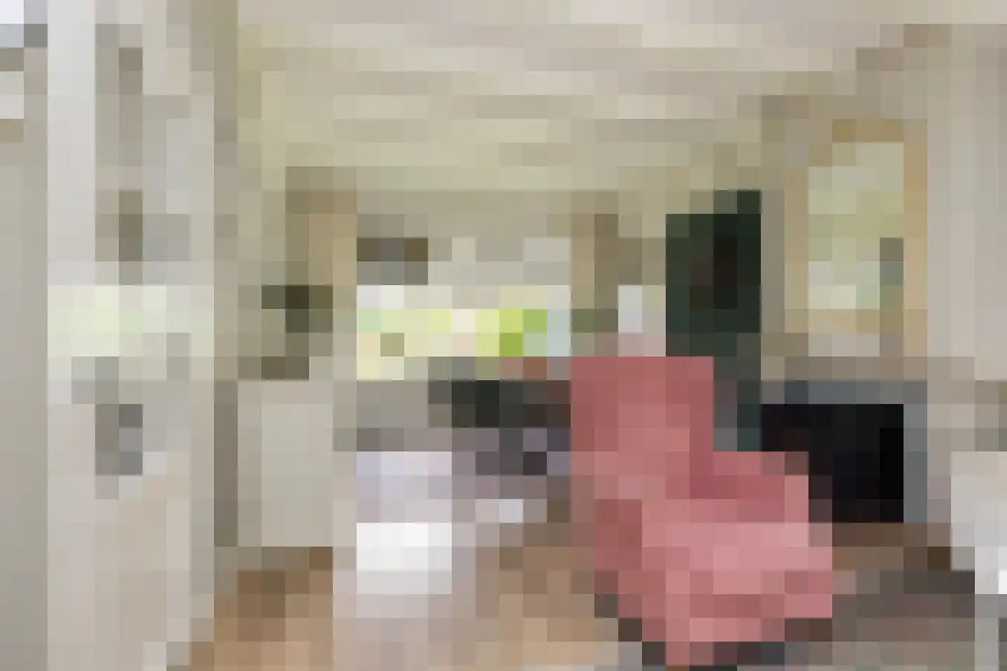 Lodewijk van Nassaustraat 3 Zwijndrecht thumbnail 5