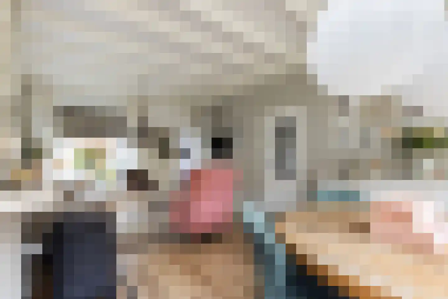 Lodewijk van Nassaustraat 3 Zwijndrecht thumbnail 6