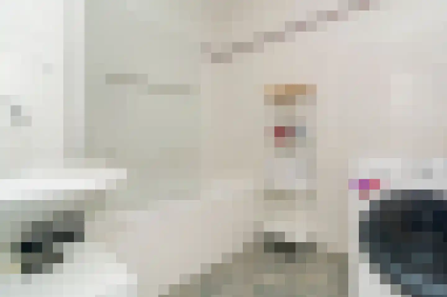 Lodewijkdonk 12 Roosendaal thumbnail 12