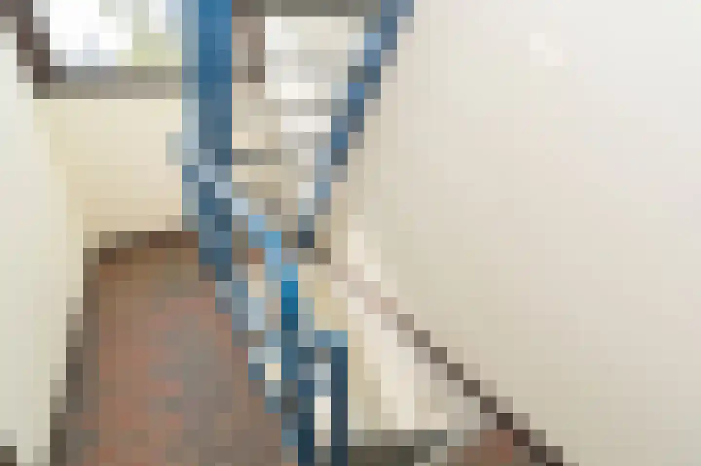 Lodewijkdonk 12 Roosendaal thumbnail 24