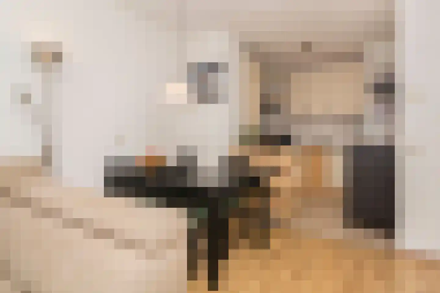 Lodewijkdonk 12 Roosendaal thumbnail 7