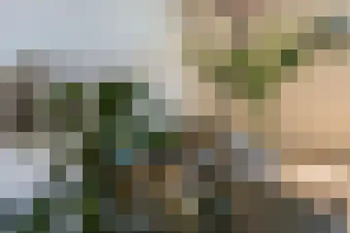 Lodewijkdonk 15 Roosendaal thumbnail 10
