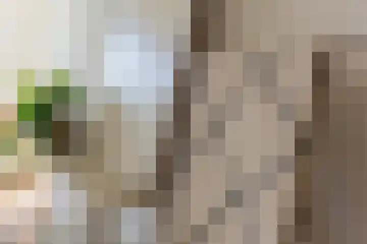 Lodewijkdonk 15 Roosendaal thumbnail 11